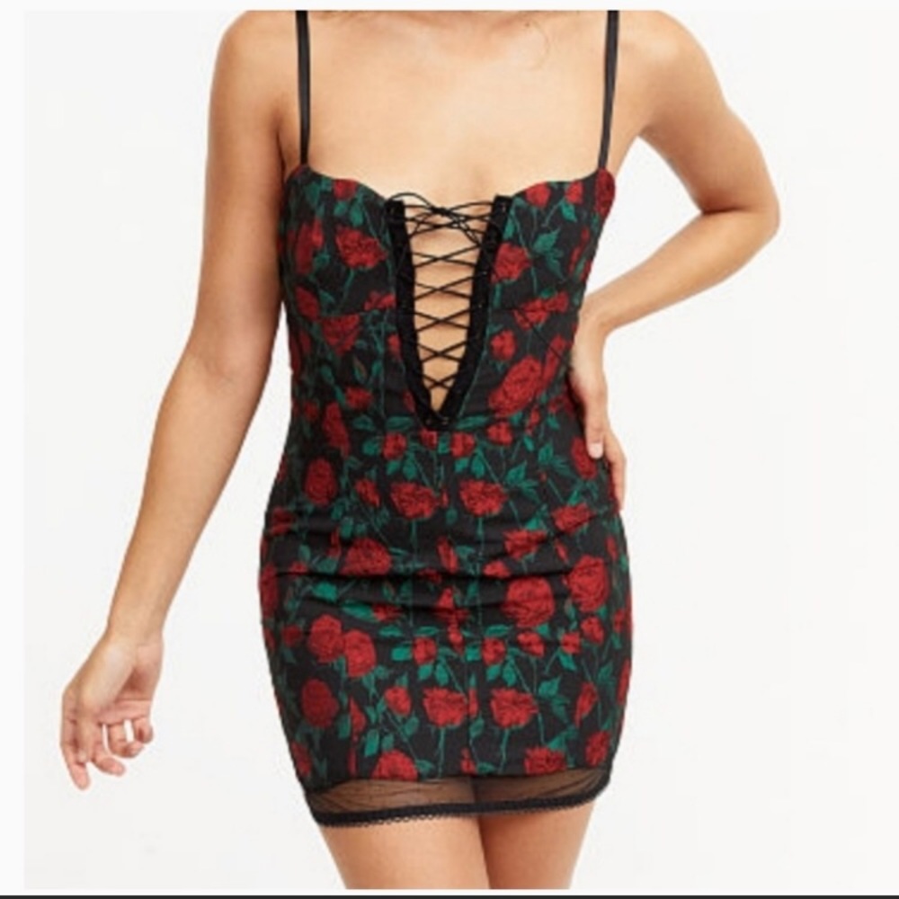 For Love & Lemons Free People Rose brocade Floral Mesh pin dot corset dress XS - Picture 9 of 11